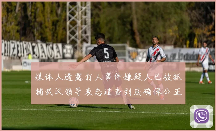 媒体人透露打人事件嫌疑人已被抓捕武汉领导表态追查到底确保公正处理