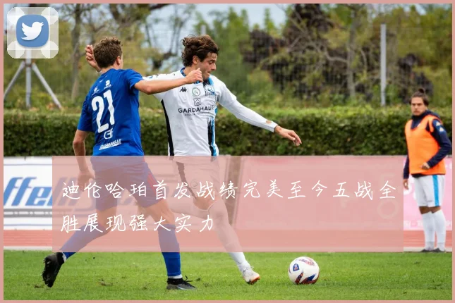 迪伦哈珀首发战绩完美至今五战全胜展现强大实力